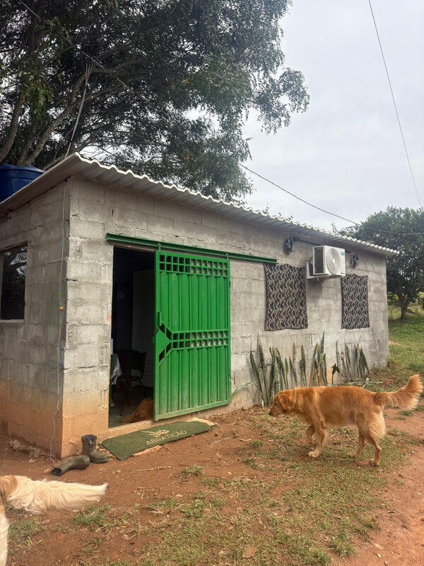 Casa de blocos com portão verde, sede da associação, com dois cães na frente